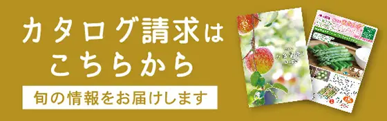 カタログ請求はこちらから