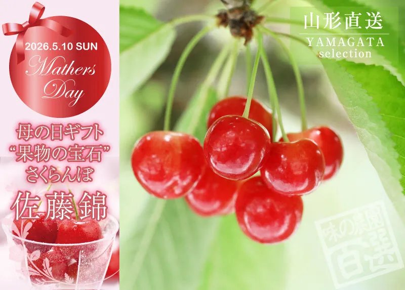 母の日ギフト　山形さくらんぼ