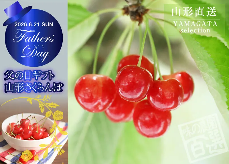 父の日ギフト　山形さくらんぼ