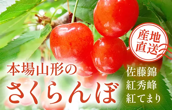 本場山形のさくらんぼ