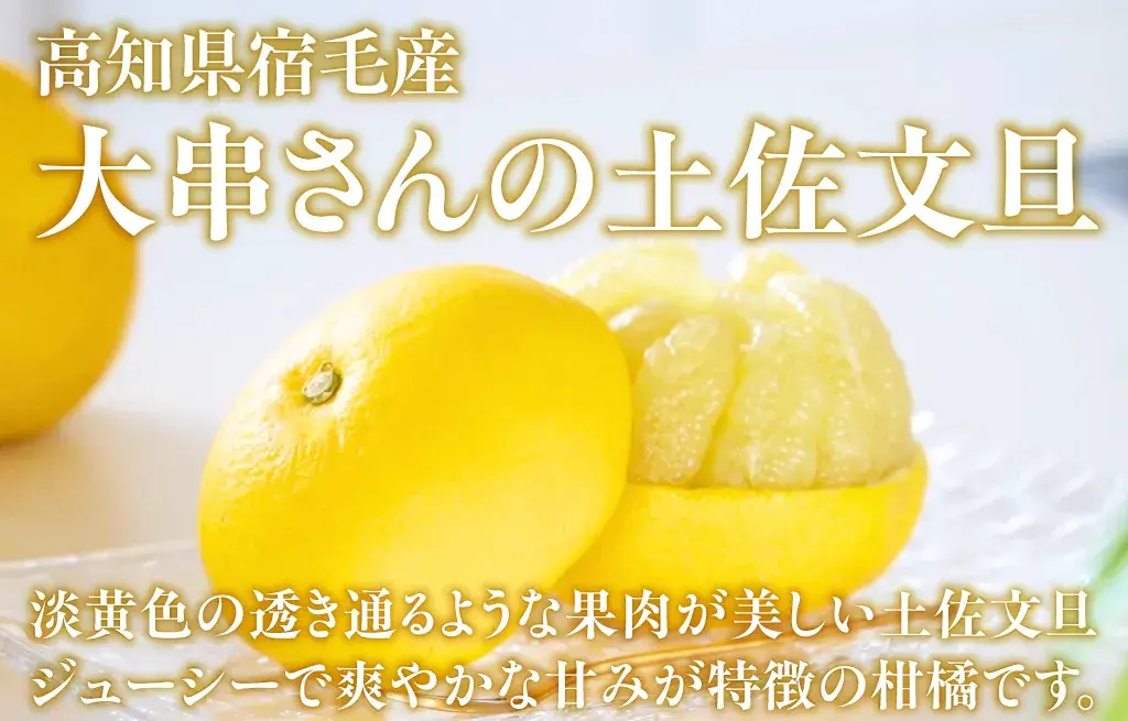 高知県宿毛産　大串さんの土佐文旦