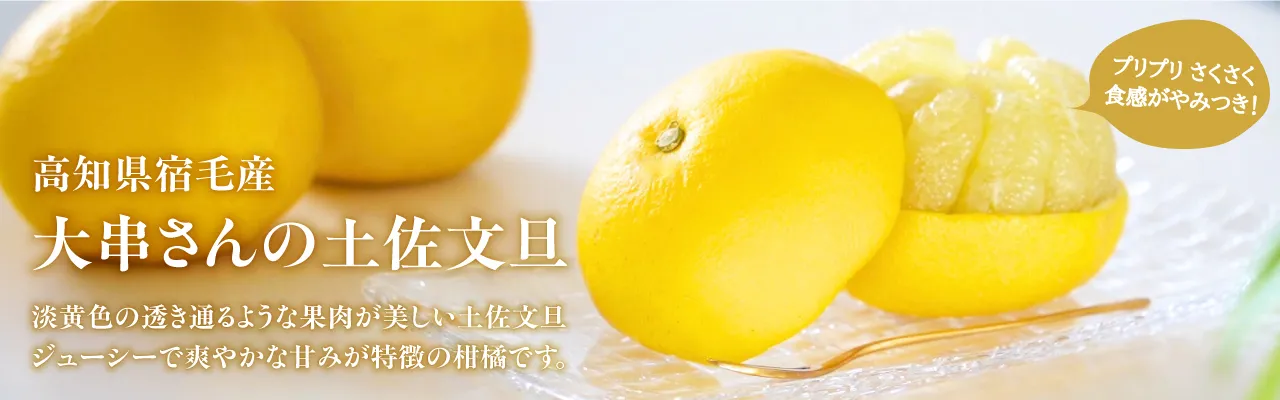 高知県宿毛産　大串さんの土佐文旦