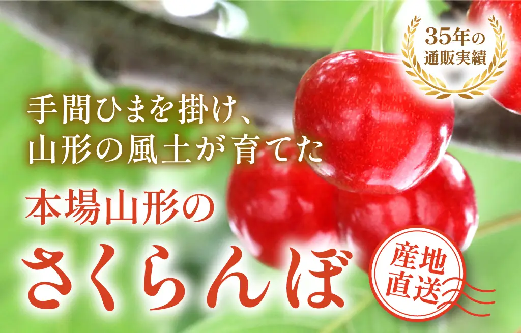 本場山形のさくらんぼ