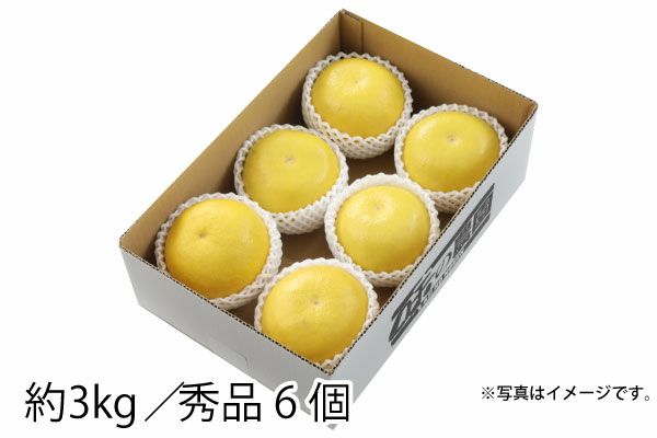 大串さんの土佐文旦 約3kg（87-D） | 味の農園