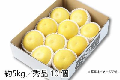 令和7年産】山形県産 つや姫 10kg（5kg×2）（10-I） | 味の農園