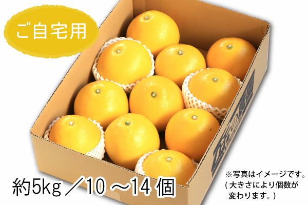 山形りんご 阿部さんの蜜入り大玉こうとく 約2kg（51-A） | 味の農園