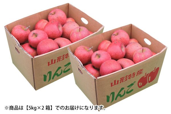 山形産 サンふじご自宅用 約10kg（09-X） | 味の農園