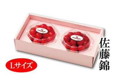 紅てまり 化粧箱鏡詰約1kg 2Lサイズ以上(72-X) | 味の農園