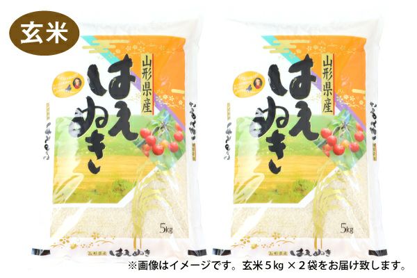 令和7年産】山形県産 はえぬき 玄米 10kg（5kg×2）（10-R） | 味の農園